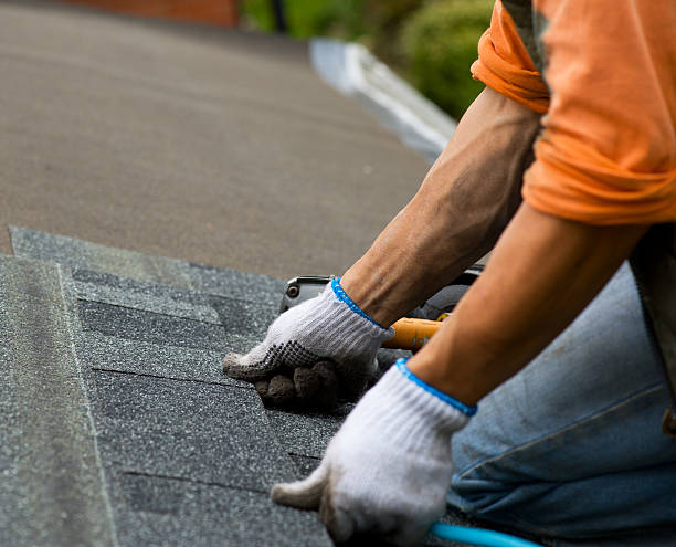 Best Local Roofing Companies  in De Pere, WI